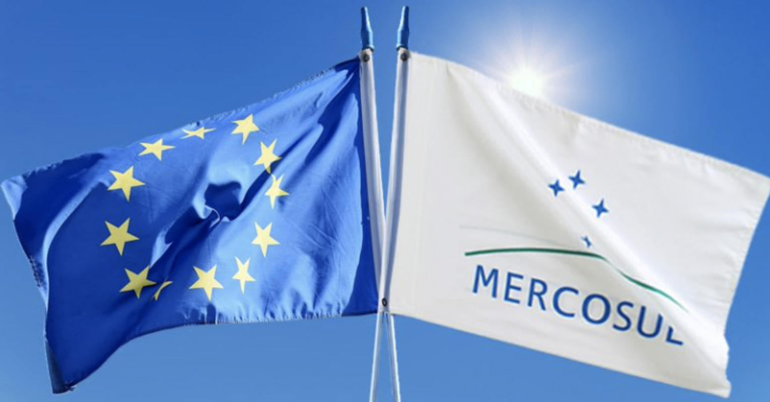The Frail Future of the EU-Mercosur Free Trade Agreement
